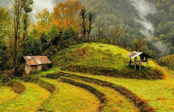 سایت ویلا رابط-اجاره ویلا-تور یک روزه گردشگری تصویری از امامزاده سید قاسم لیل اتاقور اطلاقو