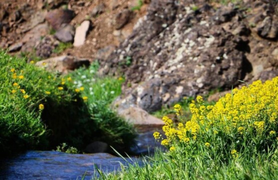 سایت ویلا رابط-اجاره ویلا-تور یک روزه گردشگری چشمه آب معدنی لوزان املش (۱)