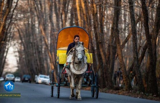 سایت ویلا رابط-اجاره ویلا پارک جنگلی صفرا بسته کالسکه صفرا بسته پارک جنگلی کالسکه گیلان