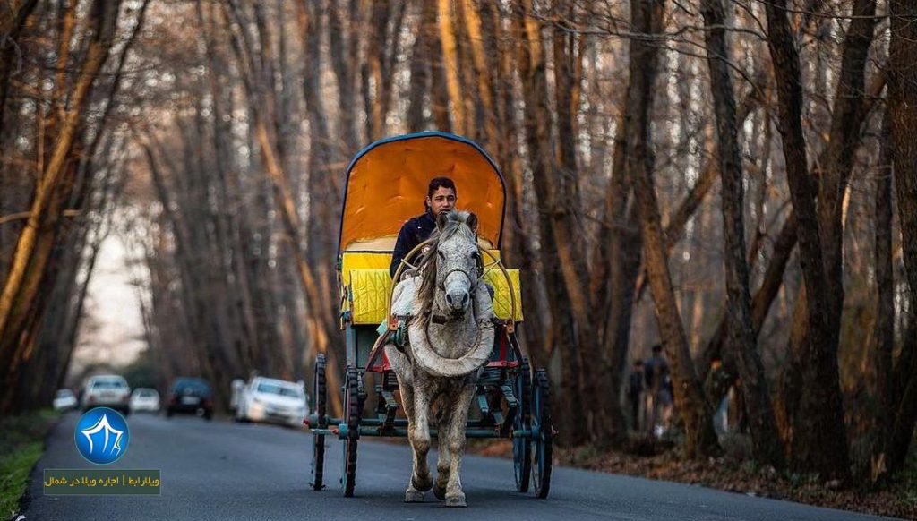 سایت ویلا رابط-اجاره ویلا پارک جنگلی صفرا بسته کالسکه صفرا بسته پارک جنگلی کالسکه گیلان