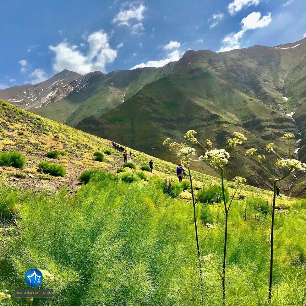 سیالان کجاست قله سیالان تور سیالان صعود به سیالان جاذبه گردشگری تنکابن