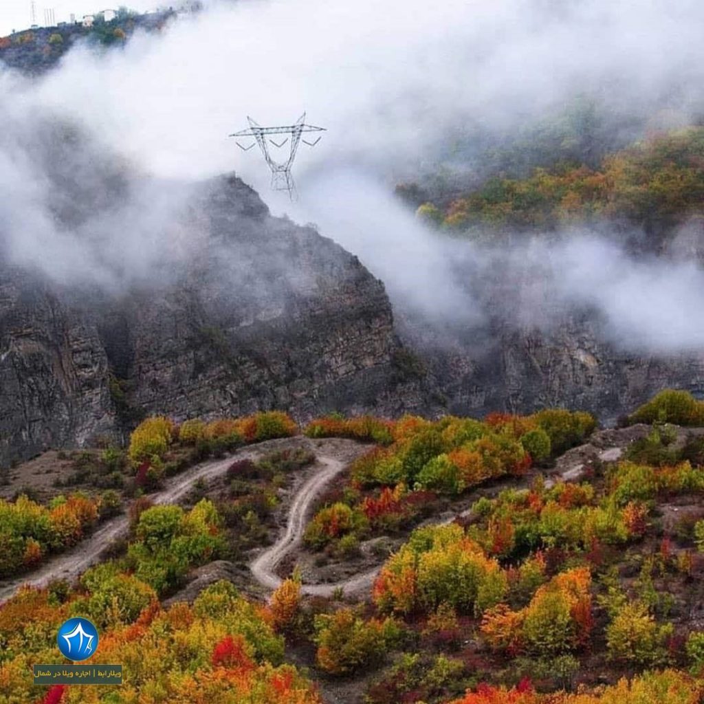 سیاه بیشه سد سیاه بیشه منطقه شکار سیاه بیشه منطقه ممنوع شکار سیاه بیشه چالوس سیاه بیشه کندوان جاده سیاه بیشه (۱)