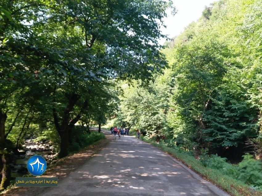 شالما کجاست-منطقه شالما-روستای شالما گیلان-روستای شالمای ماسال-دهکده شالما۱۱