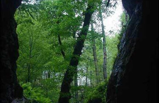 غار آویشو در استان گیلان