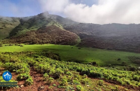 غار لیارود لنگرود-غار لیارود لنگرود کجاست-غار لیلرود۱ (۱)