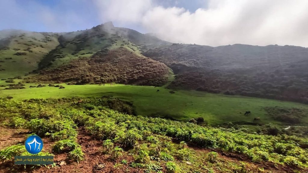 غار لیارود لنگرود-غار لیارود لنگرود کجاست-غار لیلرود۱ (۱)