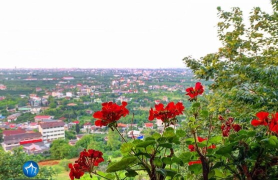 راهنمای سفر به محمودآباد