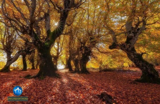 مازیچال کلاردشت مازیچال کجاست؟ تور یکروزه مازیچال کلاردشت (۲)