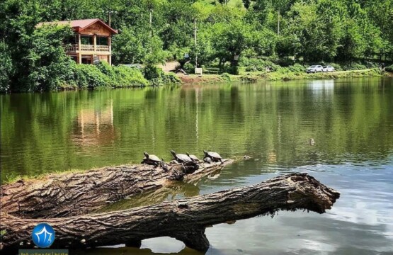 محوطه های باستانی حلیمه جان رودبار کجاست؟ محوطه های باستانی حلیمه جان رودبار دریاچه عروس تالاب عروس رودبار (۱)