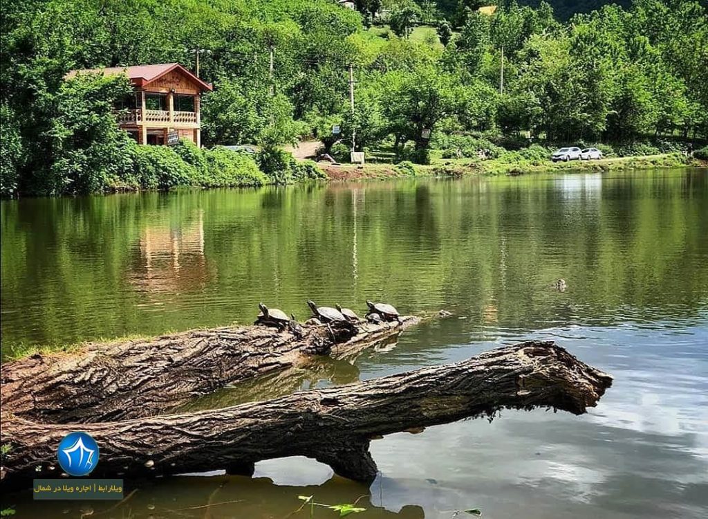 محوطه های باستانی حلیمه جان رودبار کجاست؟ محوطه های باستانی حلیمه جان رودبار دریاچه عروس تالاب عروس رودبار (۱)