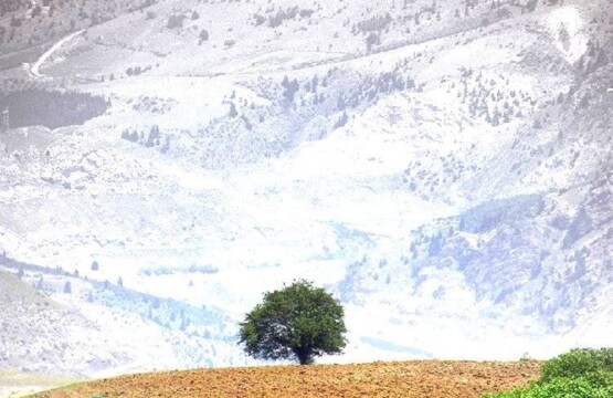 محوطه های باستانی فیلده رودبار در استان گیلان محوطه های باستانی فیلده رودبار۲