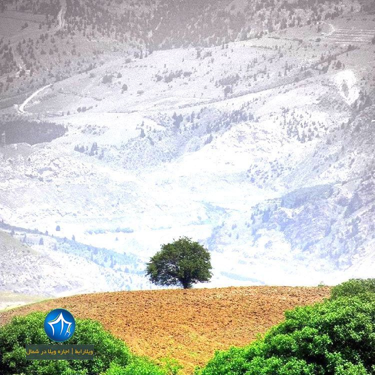 محوطه های باستانی فیلده رودبار در استان گیلان محوطه های باستانی فیلده رودبار۲