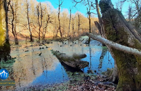 مرداب-دیوک-کلاردشت-مرداب-کلاردشت-۳