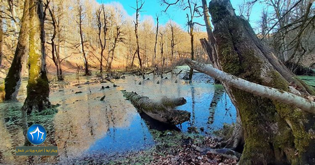 مرداب-دیوک-کلاردشت-مرداب-کلاردشت-۳