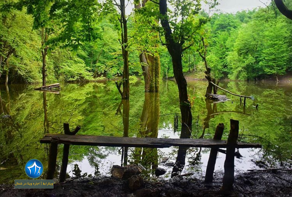 مرداب هسل کجاست؟ عکس مرداب هسل - مرداب هسل چالوس - مرداب چالوس (۴)