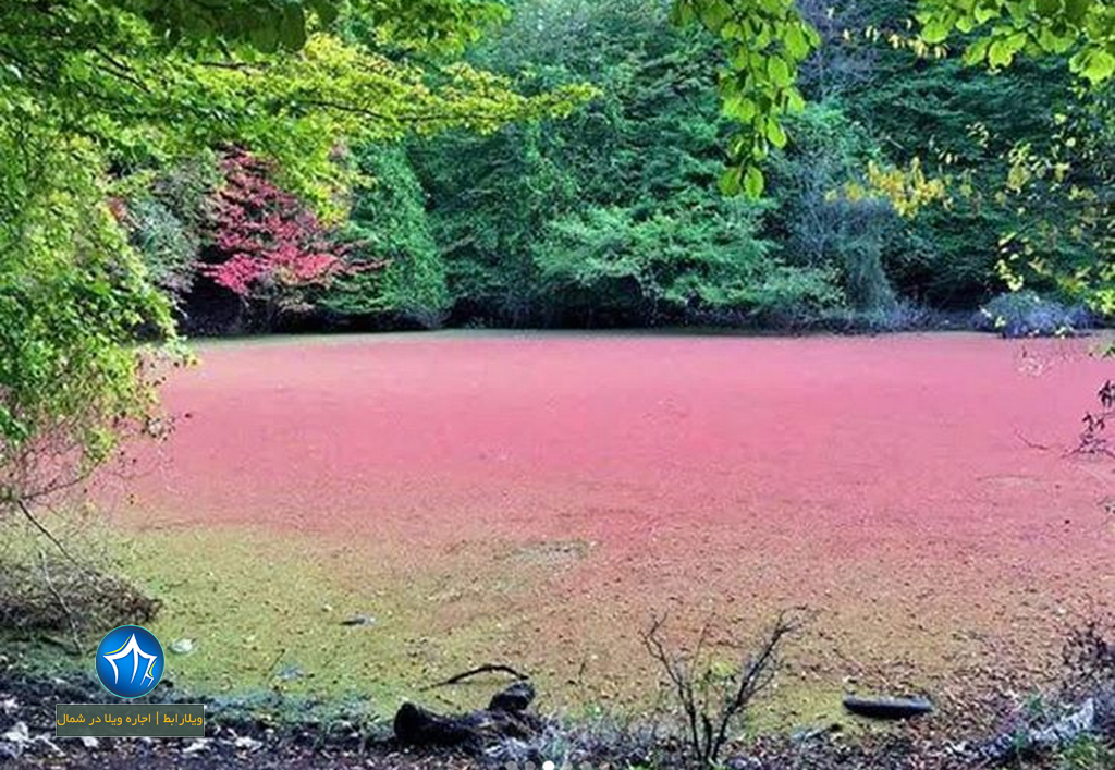 مرداب هسل کجاست؟ عکس مرداب هسل - مرداب هسل چالوس - مرداب چالوس (۶)