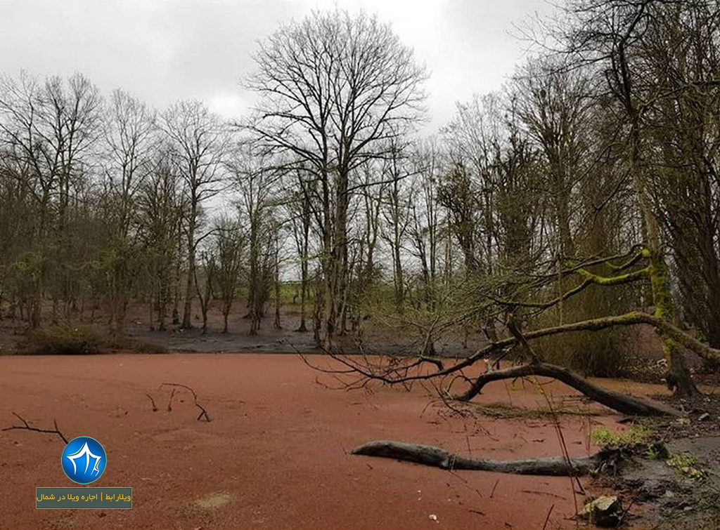 مرداب هسل کجاست؟ عکس مرداب هسل - مرداب هسل چالوس - مرداب چالوس (۷)