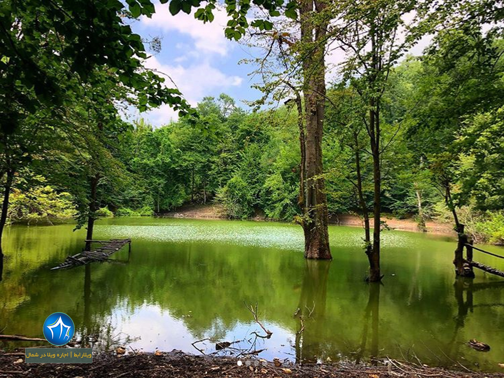 مرداب هسل کجاست؟ عکس مرداب هسل - مرداب هسل چالوس - مرداب چالوس (۸)