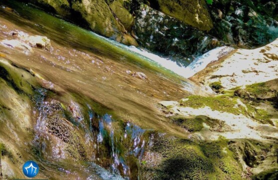 منطقه آغوزی سیاهکل- منطقه آغوزی کجاست-آغوزی گیلان- (۲)