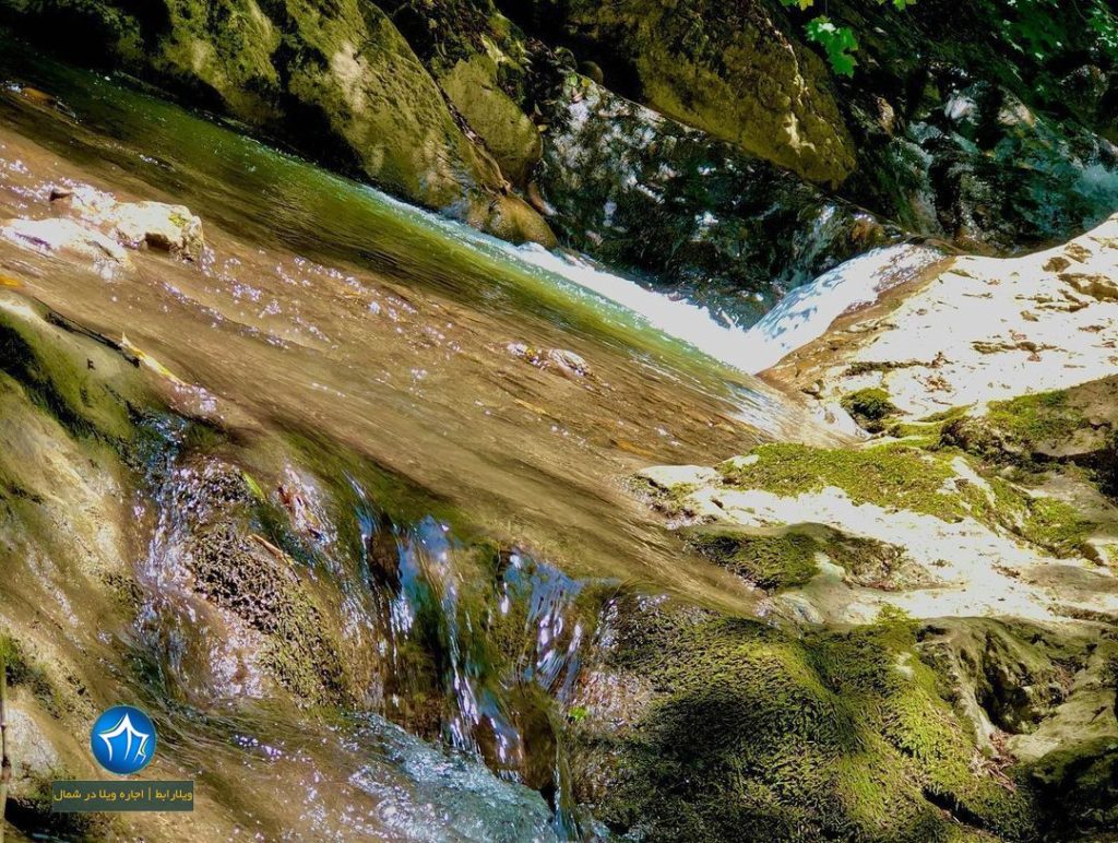 منطقه آغوزی سیاهکل- منطقه آغوزی کجاست-آغوزی گیلان- (۲)