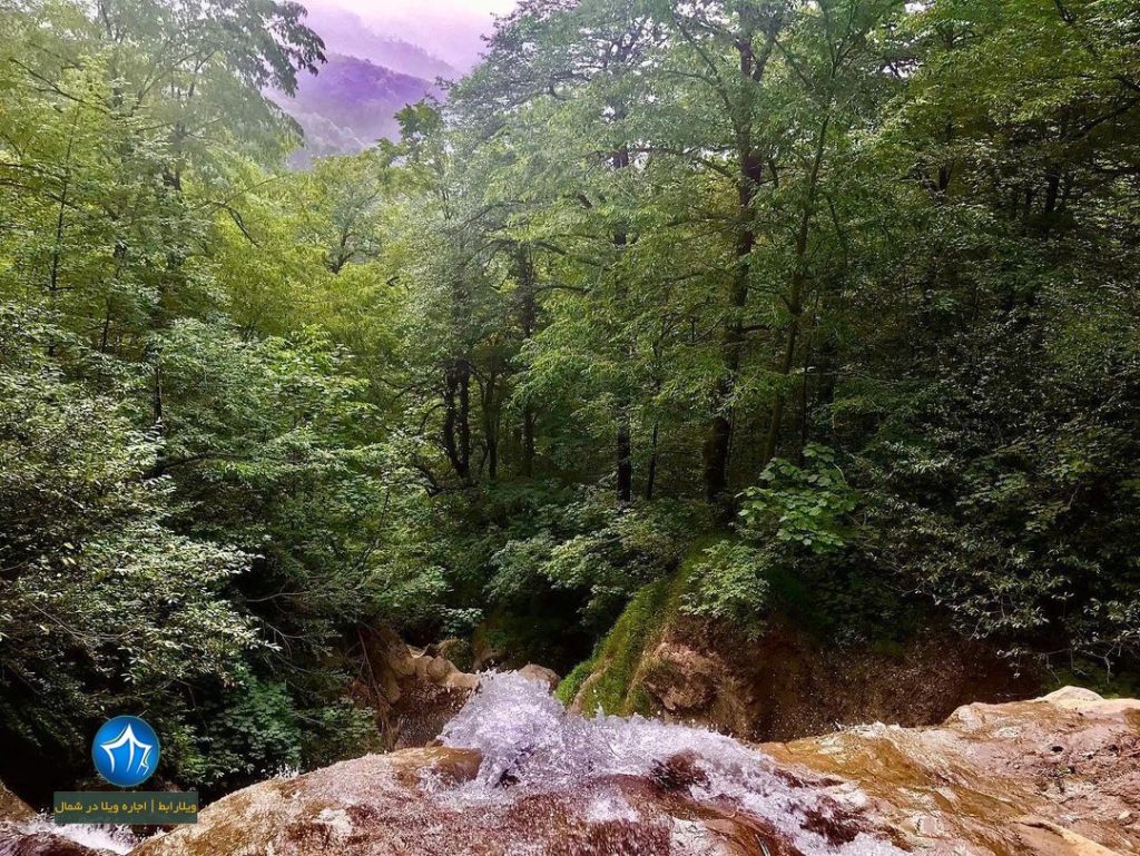 منطقه آغوزی سیاهکل- منطقه آغوزی کجاست-آغوزی گیلان- (۲)