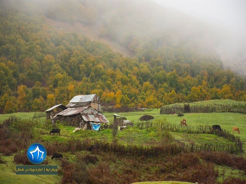 منطقه اسپیلی دیلمان-منطقه دیلمان و اسپیلی کجاست-منطقه دیلمان در گیلان-منطقه دیلمان شمال-ییلاق دیلمان-ییلاق اسپیلی