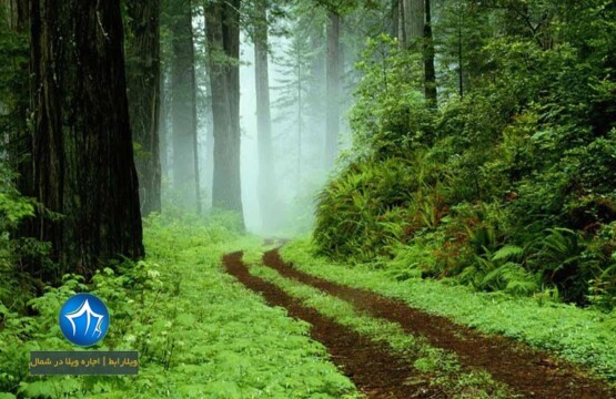 منطقه تنیان صومعه سرا-منطقه تنیان کجاست-منطقه تنیان گیلان-تنیان فومن-روستای تنیان-روستای تنیان ماسال۲