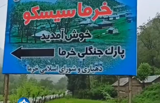 منطقه جنگلی خرما در املش-منطقه خرما گیلان-پارک جنگلی خرما لنگرود-جنگل خرما سیسکو-جنگل خرما در لنگرود-جنگل خرما اطاقور پارک جنگلی خرما