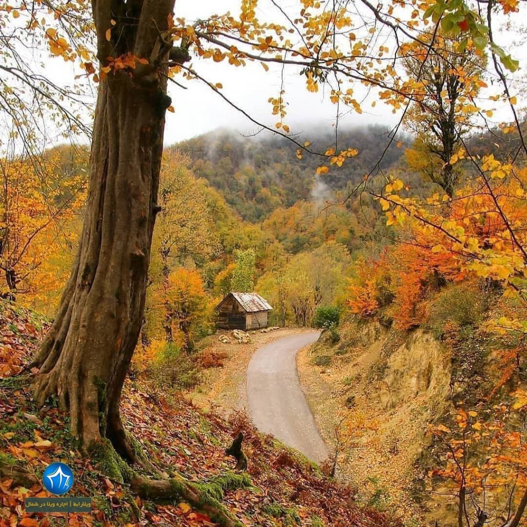 منطقه جنگلی خرما سایت ویلا رابط-اجاره ویلا-تور یک روزه گردشگری (۲)