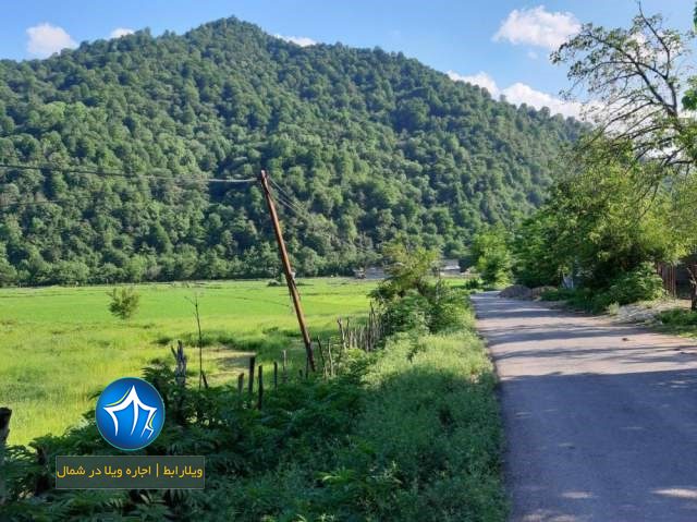 منطقه جنگلی طاسکوه منطقه تاسکوه ماسال-منطقه جنگلی طاسکوه کجاست-روستای طاسکوه