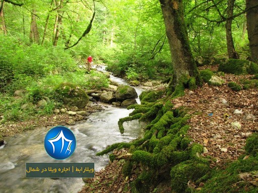 منطقه حفاظت شده جهان نما گرگان- جنگل جهان نما- منطقه حفاظت شده جهان نما کجاست- منطقه حفاظت شده جهان نما کردکوی -ییلاق جهان نما-۲