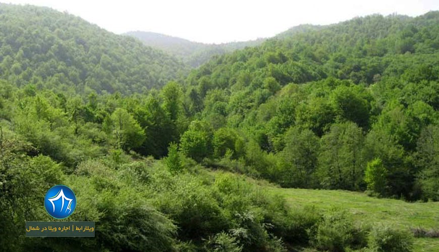 منطقه حفاظت شده چلچلی -منطقه حفاظت شده چل چلی-منطقه چلچلی-منطقه چلچلی گرگان۲