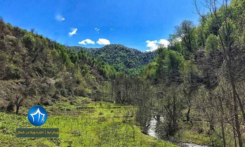 منطقه چنار رودخان- چنار رودخان کجاست-چنار رودخان گیلان-چنار رودخان شفت-روستای چنار رودخان شهرستان شفت-روستای چنار رودخان در گیلان۱