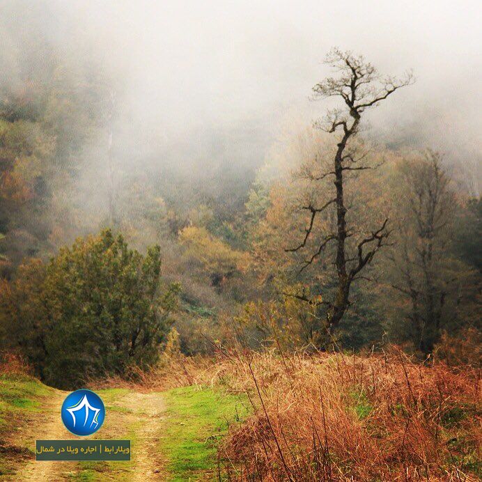 منطقه گردشگری سیاهکلرود-سیاهکلرود کجاست-سیاهکلرود در استان گیلان-جنگل های سیاهکلرود-سیاهکلرود رودسر ویلارابط (۳)