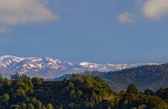 منطقه گردشگری سیاهکلرود-سیاهکلرود کجاست-سیاهکلرود در استان گیلان-جنگل های سیاهکلرود-سیاهکلرود رودسر ویلارابط (۳)