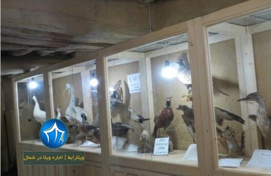 موزه ماسوله عکس موزه ماسوله-موزه ماسوله-موزه مردم شناسی ماسوله-موزه حیات وحش ماسوله