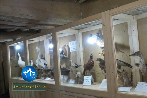 موزه ماسوله عکس موزه ماسوله-موزه ماسوله-موزه مردم شناسی ماسوله-موزه حیات وحش ماسوله