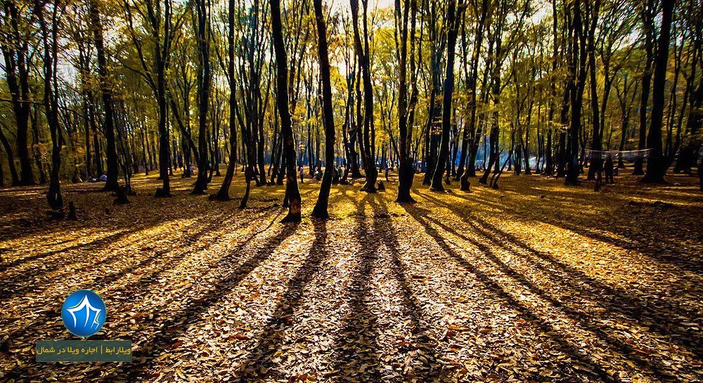 پارک جنگلی النگدره کجاست- پارک جنگلی النگدره در پاییز-مسیر پارک جنگلی النگدره گرگان ن-جنگل النگدره