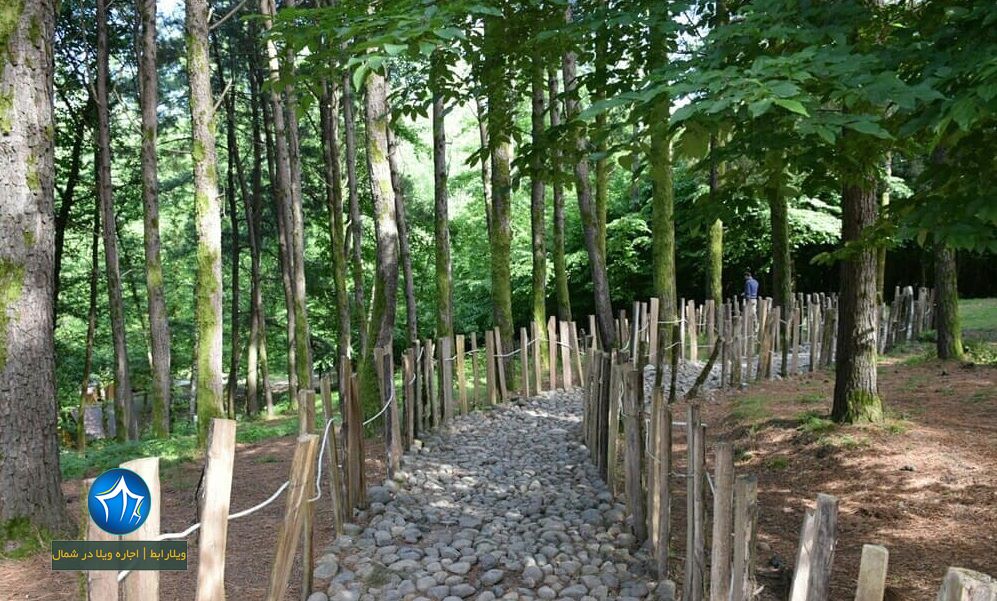 پارک جنگلی بی بی یانلو از جاذبه های گردشگری آستارا (۳)