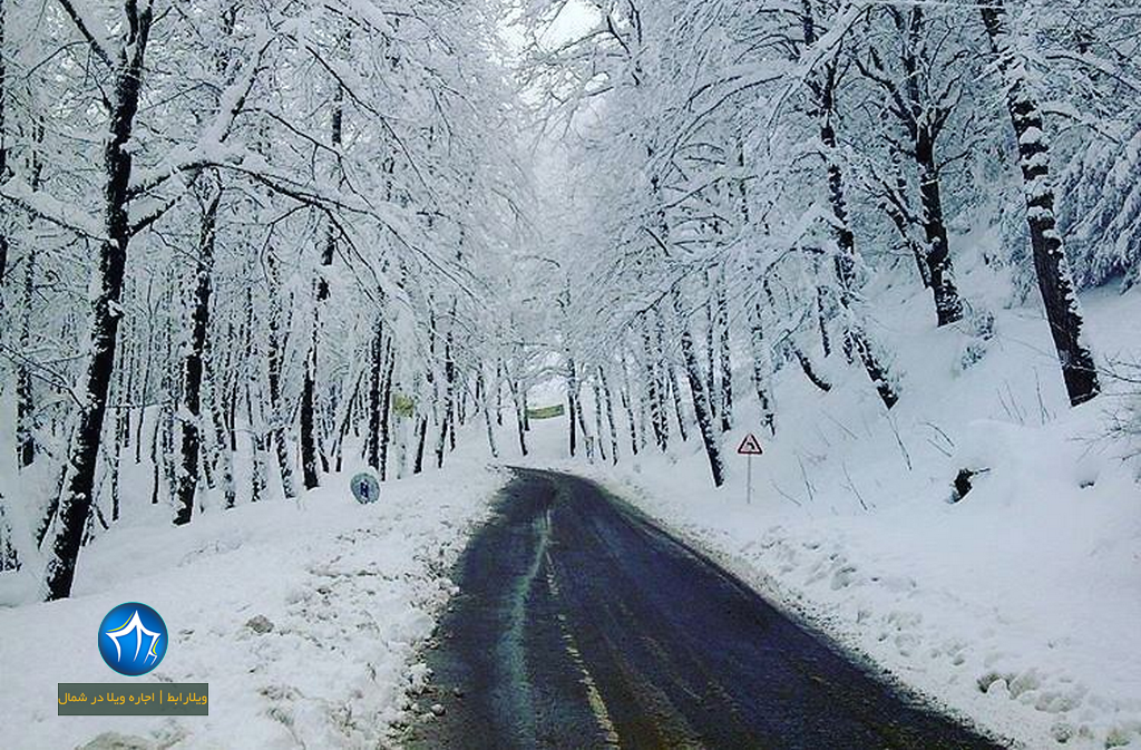پارک جنگلی دالخانی رامسر (۴) زمستان جنگل دالخانی