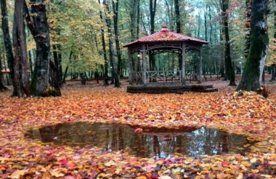 پارک جنگلی رضوانشهر-پارک جنگلی دکتر درستکار-آدرس پارک جنگلی دکتر درستکار پارک جنگلی گیسوم پارک جنگلی دکتر درستکار رضوانشهر