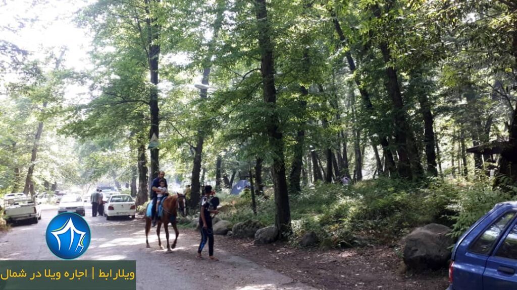 اسب سواری در پارک فین چالوس