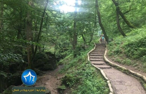 پارک جنگلی ماسوله کجاست -پارک جنگلی در ماسوله - آدرس پارک جنگلی ماسوله - مسیر پارک جنگلی ماسوله