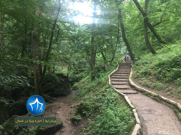 پارک جنگلی ماسوله کجاست -پارک جنگلی در ماسوله - آدرس پارک جنگلی ماسوله - مسیر پارک جنگلی ماسوله