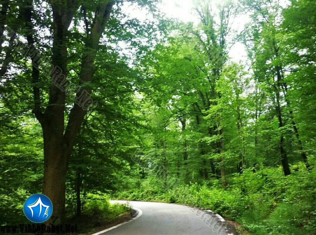 ارک جنگلی میرزا کوچک خان امل پارک آمل پارک هراز میرزا