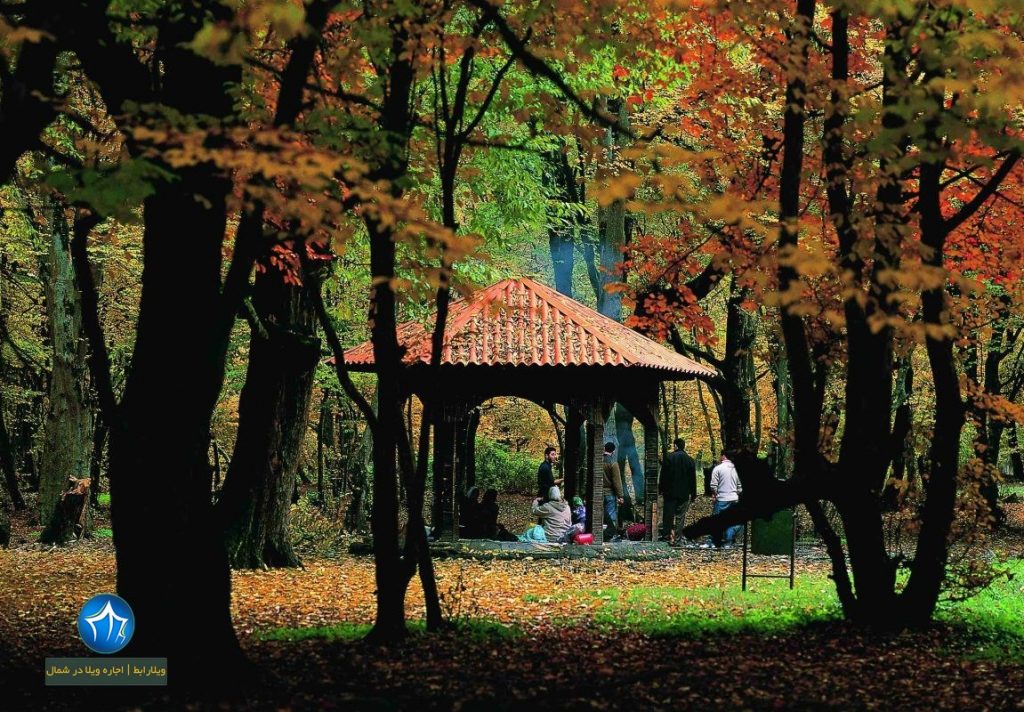پارک جنگلی ناهارخوران گرگان-پارک جنگلی ناهارخوران در کدام شهر است-پارک جنگلیل ناهارخوران کجاست (۱)
