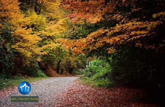 پارک جنگلی ناهارخوران گرگان-پارک جنگلی ناهارخوران در کدام شهر است-پارک جنگلیل ناهارخوران کجاست (۲)