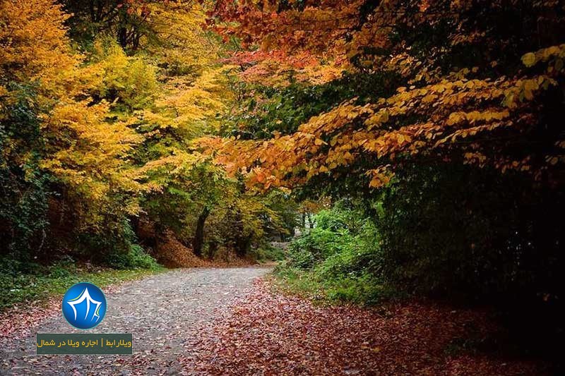 پارک جنگلی ناهارخوران گرگان-پارک جنگلی ناهارخوران در کدام شهر است-پارک جنگلیل ناهارخوران کجاست (۲)