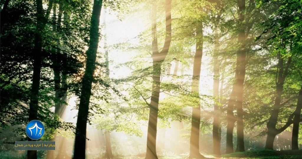 پارک جنگلی نور اجاره ویلا در نور اقامت در پارک جنگلی نور استان مازندران (۱)