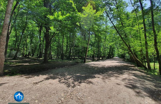 پارک جنگلی نور اجاره ویلا در نور اقامت در پارک جنگلی نور استان مازندران (۵)